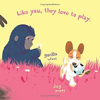 Indestructibles: Baby Animals   --Amy Pixton  STEPHAN LOMP