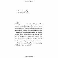 BECAUSE OF WINN-DIXIE---Kate DiCamillo