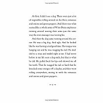 BECAUSE OF WINN-DIXIE---Kate DiCamillo