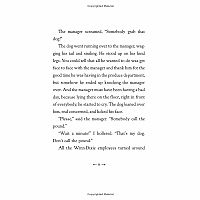 BECAUSE OF WINN-DIXIE---Kate DiCamillo