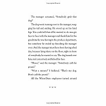 BECAUSE OF WINN-DIXIE---Kate DiCamillo