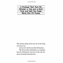 ****SALE PRICE--REG  $14.99****Timmy Failure: We Meet Again---STEPHAN PASTIS