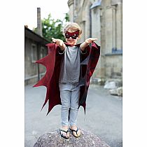 WEB WEAVER SOFT WINGS/MASK 4/6