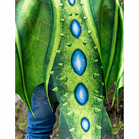 LEGENDARY DRAGON SOFT WINGS