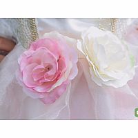 GOLDEN ROSE PRINCESS DRESS 7/8