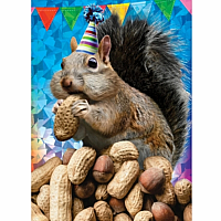GO NUTS! BD CARD