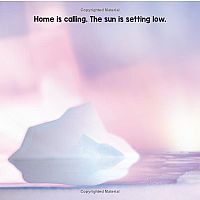 SLEEP TIGHT, POLAR BEAR --Sabina Gibson