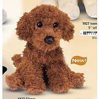 GINGER MINIATURE POODLE