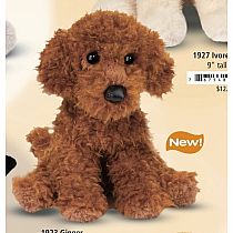 GINGER MINIATURE POODLE