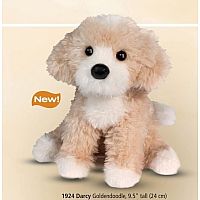 DARCY GOLDENDOODLE