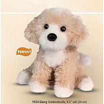 DARCY GOLDENDOODLE