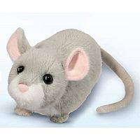 CHEDDAR MOUSE