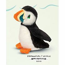 PASCAL PUFFIN