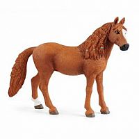 SCHLIECH GERM RIDE PONY MARE