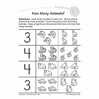RSL BEGINNING MATH PKEK