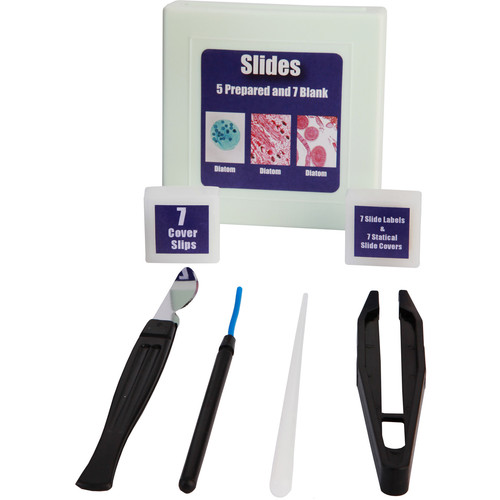 EXPLORE ONE MICRSCOPE 900X Over the Rainbow