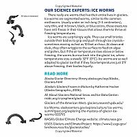 GLACIER ON THE MOVE  --Elizabeth Rusch  Alice Brereton