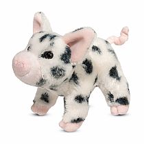 Black Spotted Pig