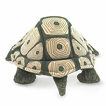 TORTOISE HAND PUPPET