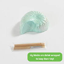 OCEAN TREASURE DIG KIT