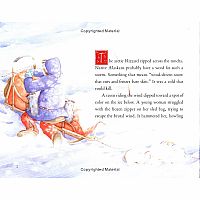 STORM RUN-- - Libby Riddles, Shannon Cartwright