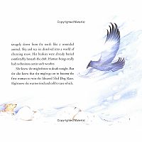 STORM RUN-- - Libby Riddles, Shannon Cartwright