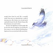 STORM RUN-- - Libby Riddles, Shannon Cartwright