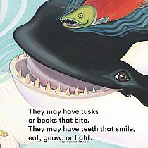 Alaska's Animals --Shannon Cartwright