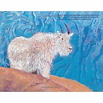 Who Lives near a Glacier?: Alaska Animals in the Wild  --Susi Gregg Fowler and Jim Fowler