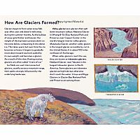 Who Lives near a Glacier?: Alaska Animals in the Wild  --Susi Gregg Fowler and Jim Fowler