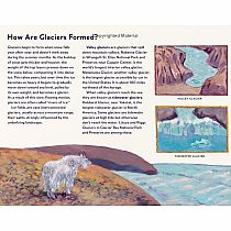 Who Lives near a Glacier?: Alaska Animals in the Wild  --Susi Gregg Fowler and Jim Fowler