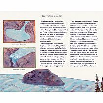 Who Lives near a Glacier?: Alaska Animals in the Wild  --Susi Gregg Fowler and Jim Fowler