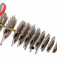EUGY 3D HEDGEHOG