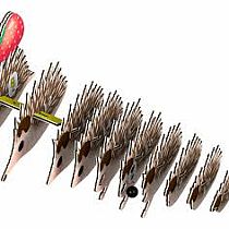 EUGY 3D HEDGEHOG