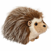 BRISTLE HEDGEHOG