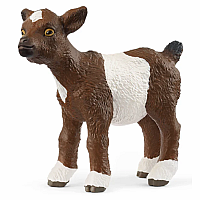Goat Kid
