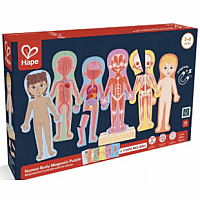 HUMAN BODY MAGNETIC PUZZLE