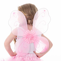 Fairy Wings Pink