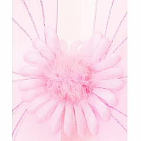 Fairy Wings Pink