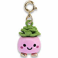 CHARM IT HAPPY SUCCULENT
