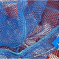 Explorer Net