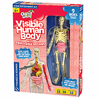 HUMAN BODY W SQUISHABLE ORGANS