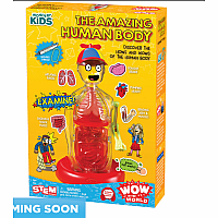 WOW AMAZING HUMAN BODY