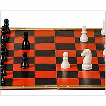 Chess & Checkers Set