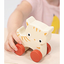 KITTEN ON WHEELS