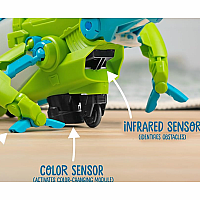 ROBOTIC PET CODING CHAMELEON