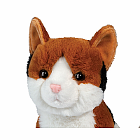 PATCHES CALICO CAT