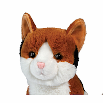 PATCHES CALICO CAT