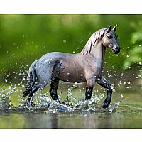 BREYER BLUE RAON BRABANT