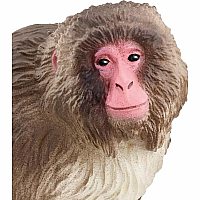 SCHLEICH JAPANESE MACAQUE